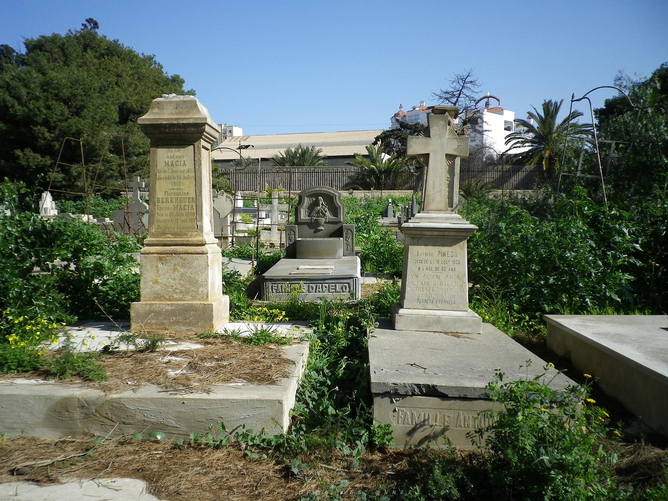 CIMETIERE DE TAMAZOUHET D ORAN EN MARS 2012  (119).JPG